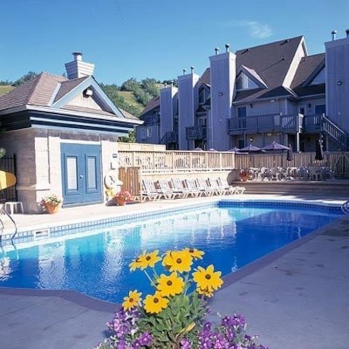 Blue Mountain Suites Blue Mountains Eksteriør billede