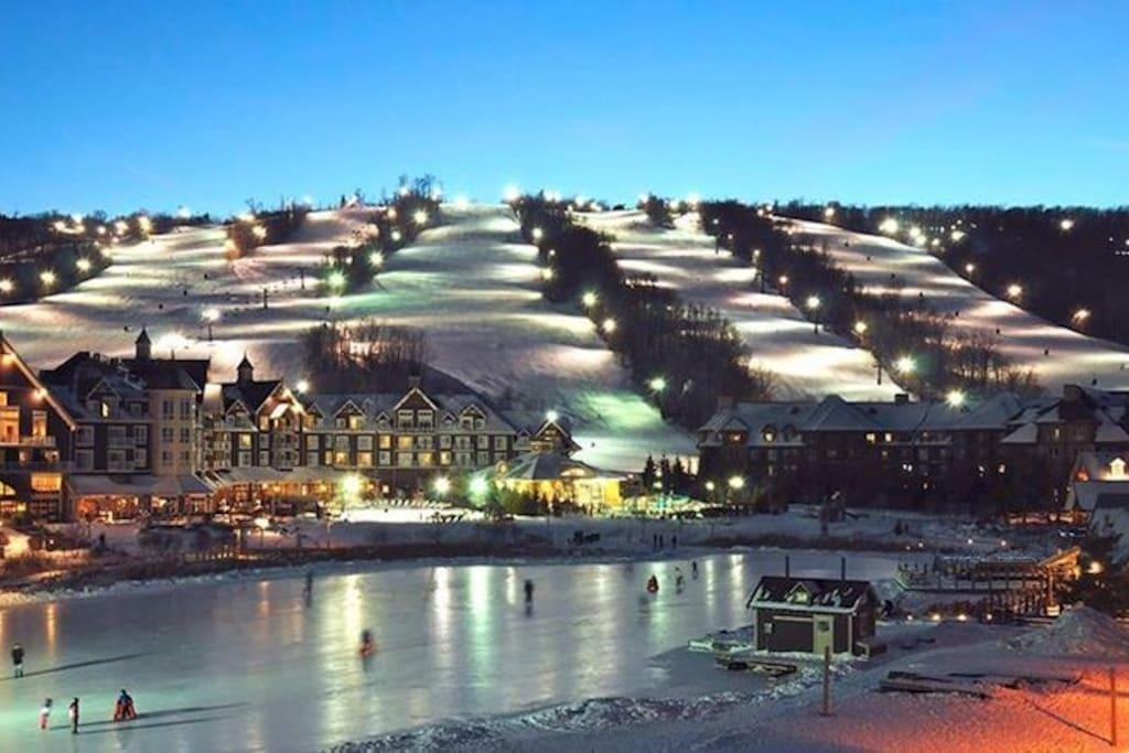 Blue Mountain Suites Blue Mountains Eksteriør billede