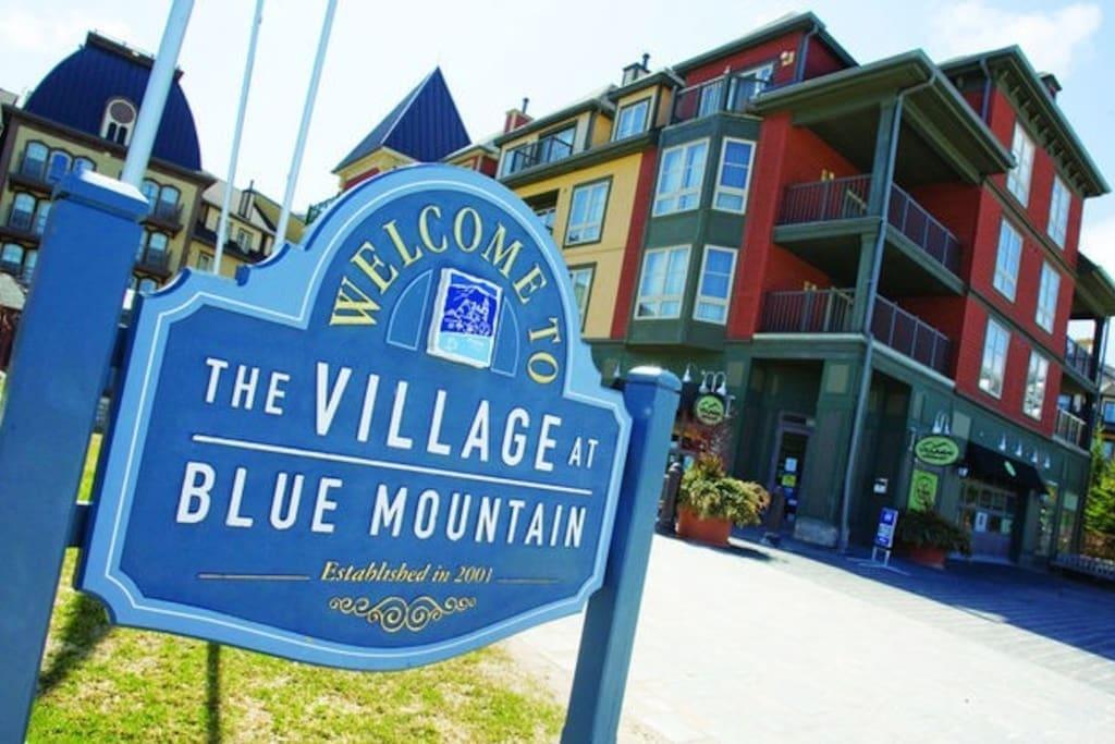 Blue Mountain Suites Blue Mountains Eksteriør billede